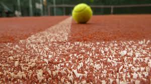 Tennis Court Maintenance Tips From Champion Grass