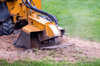 Hire Professional Stump Removal in Greensborough